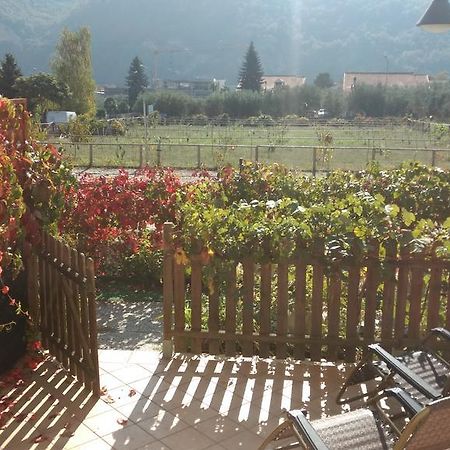 Agriturismo Le Collinette Villanova d'Albenga Esterno foto